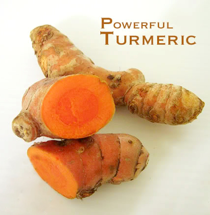 tajagro products Powerful Turmeric (Haldi)