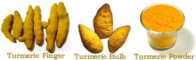 tajagro products Haldi (Turmeric Finger)