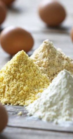 Taj Agro_Egg Powder process