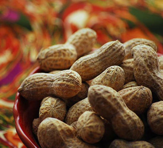 ground nut seeds