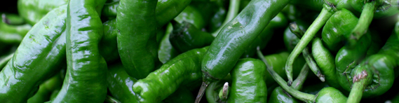 green-chilli-exporter