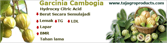 garcinia-cambogia-top-banner