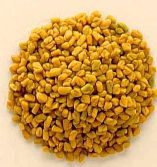 yellow methi seeds 