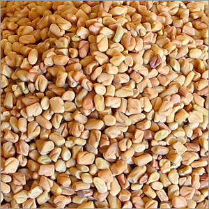 methi seeds in india