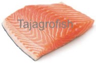 Salmon fish  slices