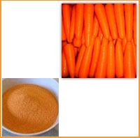 carrot juice  powder