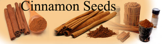 www.tajagroproducts/images/cinnamon-seeds.jpg