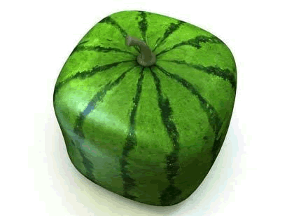Square-watermelon 