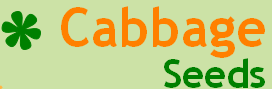 cabbagr seeds logo