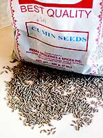 jeera seeds