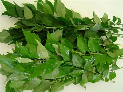 Tajagro Curry Leaves