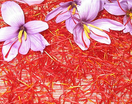 saffron corms