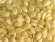 tajagro products Til (Sesame seed) white