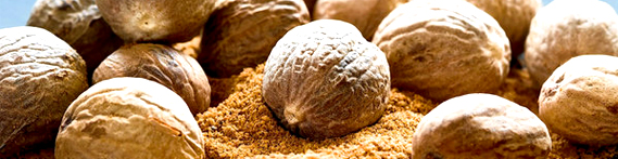 exporter of nutmeg