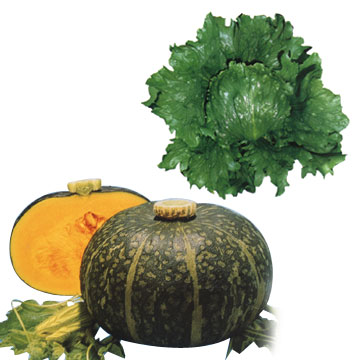 VegetableandPumpkin