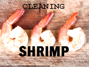 Cleaning White Shrimps 